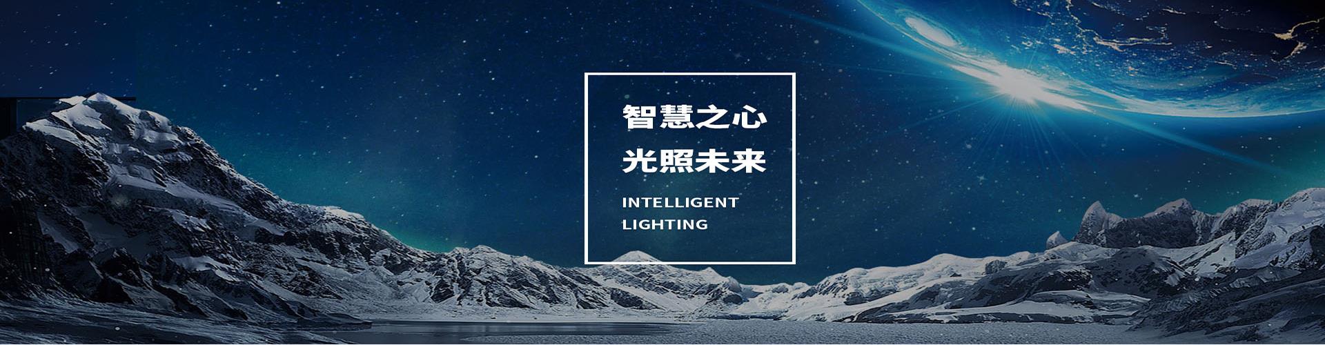 法律條款